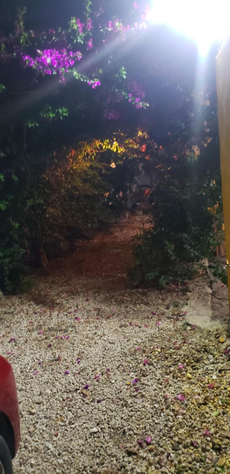 Casa "Los Jarochos" 2 Valladolid  Dış mekan fotoğraf